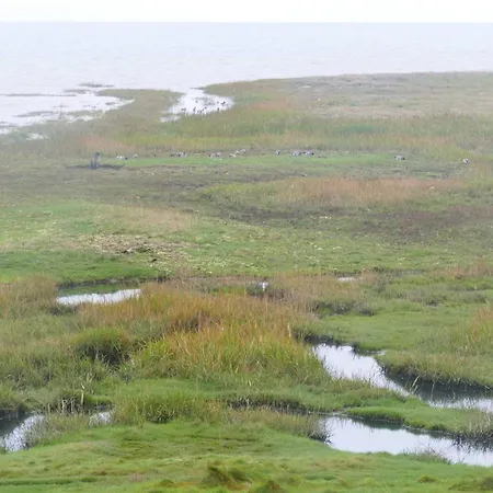 16 Person In Romo * Rømø Kirkeby