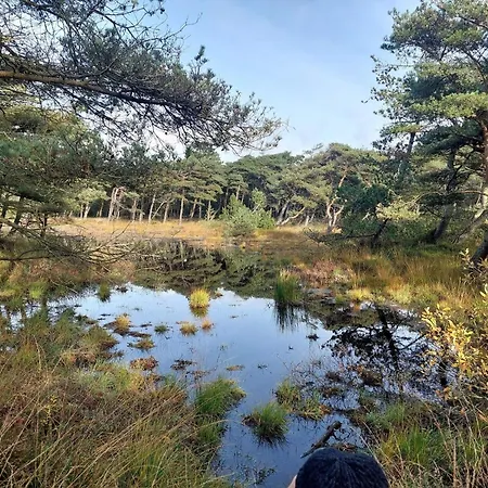 Nyaraló 16 Person In Romo Rømø Kirkeby