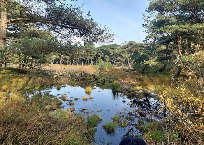 度假居 16 Person In Romo Rømø Kirkeby